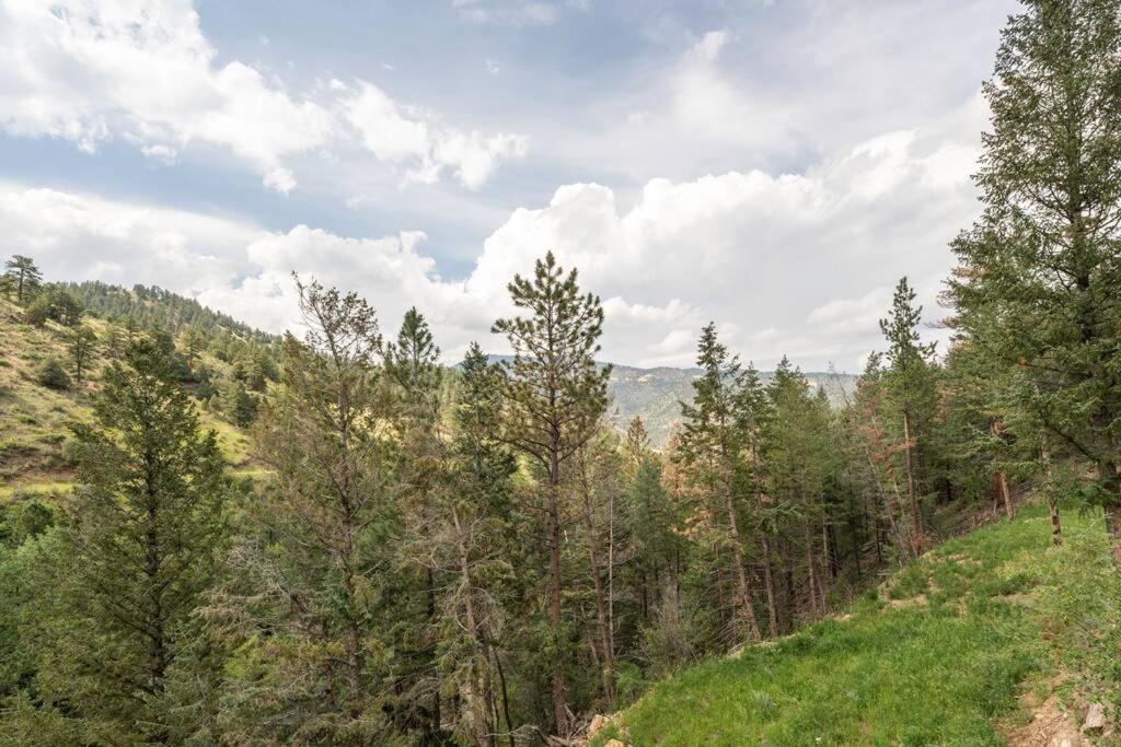 Sodacreek Look-Out .3 Mi From I70 + Hotsprings Idaho Springs Ngoại thất bức ảnh